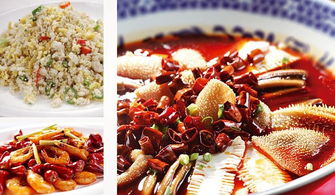 深圳市巴蜀風(fēng)飲食管理圖冊(cè) 餐飲管理的藝術(shù)與實(shí)踐