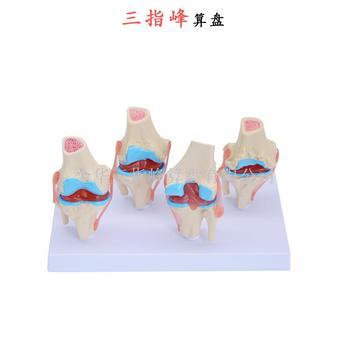 醫藥教學器材批發價格_義烏醫藥教學器材